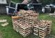 FOTO | 64 de persoane legitimate şi peste 1000 de kilograme de ciuperci confiscate de poliţişti