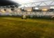 FOTO | Instalație performantă de refacere a gazonului de pe Cluj Arena