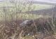 Accident | O şoferiţă a fost rănită după ce s-a răsturnat cu maşina (FOTO)