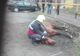 FOTO | Cal lovit de maşină pe o stradă din Gherla! Proprietarul animalului a fost amendat