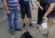 CRUZIME: câine tras cu un cablu după maşină într-un cartier din Cluj-Napoca