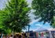 Muzică, delicii și arome inedite, la Cluj Craft Beer Festival, în Iulius Parc