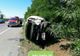 FOTO | Căprioară lovită mortal de o autoutilitară pe DN1C