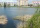 Undă verde pentru amenajarea Parcului Între Lacuri din Cluj-Napoca