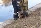 FOTO | Operaţiune de salvare dramatică la Cluj după ce un câine a căzut în râul Someş