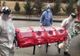 Trei noi cazuri de infectare cu Covid-19 au fost confirmate în Timiș, Caraș-Severin și Hunedoara