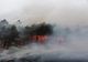 VIDEO | Arde Pădurea Făget de lângă Cluj-Napoca