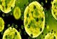 Bilanțul cazurilor de infectare cu coronavirus a urcat, astăzi, la 158