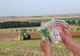 Tinerii fermieri pot solicita de la AFIR fonduri nerambursabile pentru instalarea ca șefi de exploatații agricole