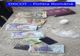 FOTO: Percheziții DIICOT în Cluj, Satu Mare și Sălaj la falsificatori de bani! Ce au mai descoperit anchetatorii