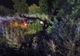 FOTO | Accident între Cluj și Oradea: 8 victime, dintre care 3 copii