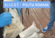 VIDEO: Clujean, prins în flagrant de procurorii DIICOT Bistrița-Năsăud, cu 6 kg de cannabis