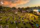 19.000 de participanţi la festivalul Jazz in The Park