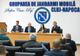 Întâlnire între organizatorii UNTOLD şi autorităţile locale şi naţionale