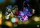 La Cluj a început Lights On Romania: 10 instalații și o expoziție foto fac spectacol pentru clujeni