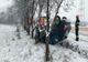 Accident în Jucu de Mijloc! O şoferiţă a fost rănită după ce s-a răsturnat cu maşina (FOTO)