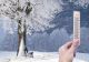 Începând de mâine aerul cald tropical va fi înlocuit o masă de aer polar. Se anunță și ninsori