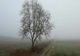 Vremea 17 decembrie. Temperaturi de primăvară, în plină lună de iarnă. Care sunt maximele zilei de astăzi